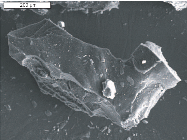 rubber-particles-as-observed-with-a-sem